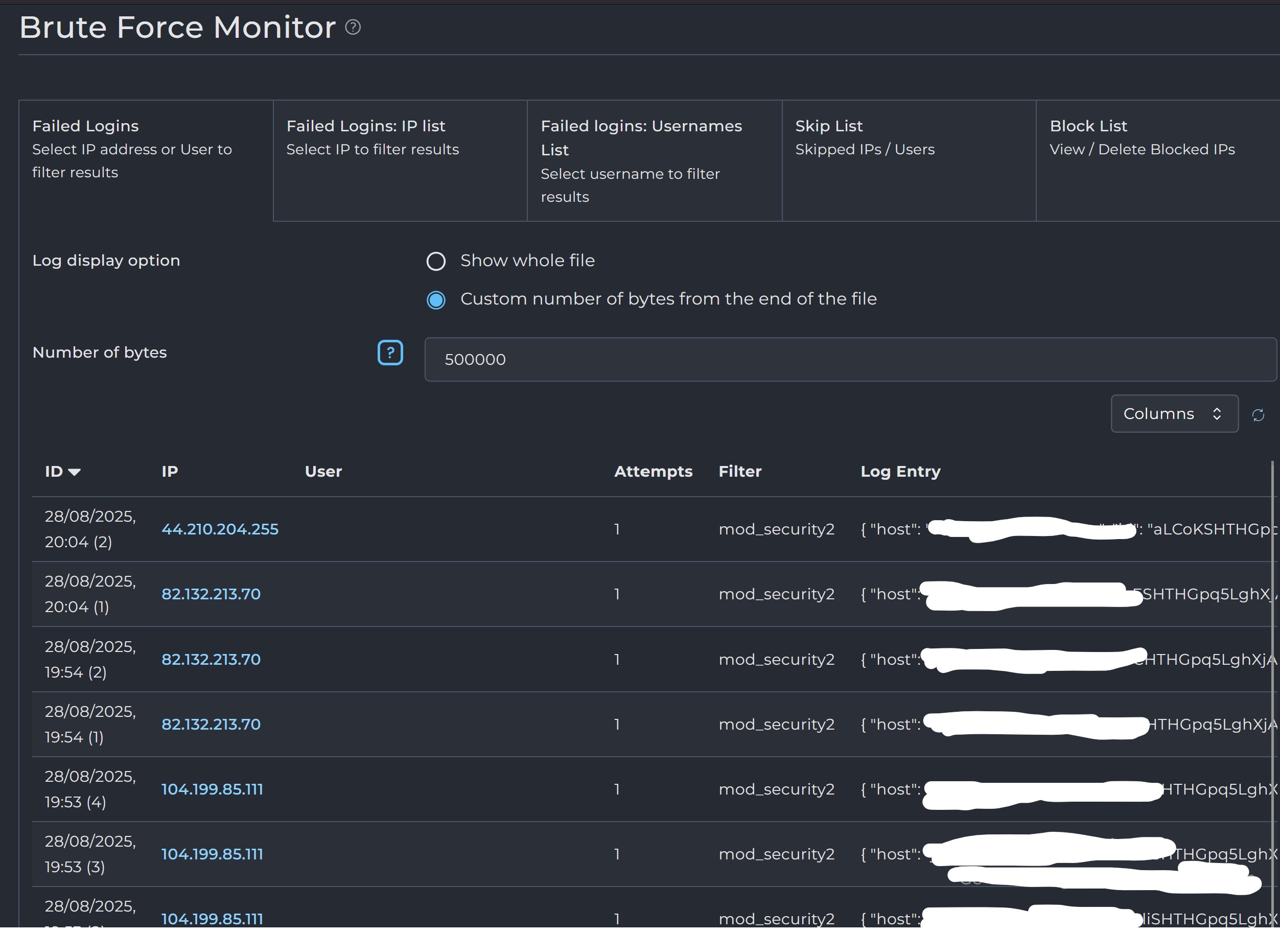 Brute Force Monitor logs showing real-time attacks
